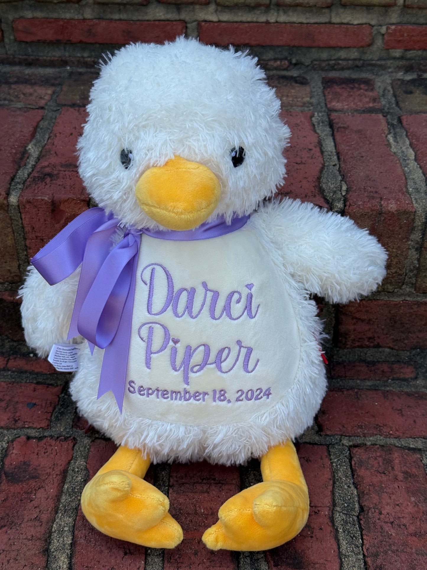 Duck